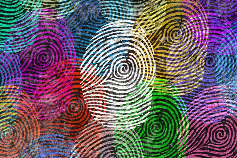 Browser Fingerprint Tool Reveals How Easily You Can Be Tracked Online