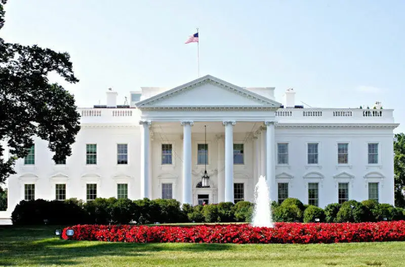 Tech Leaders Urge US Government to Embrace Open AI Models