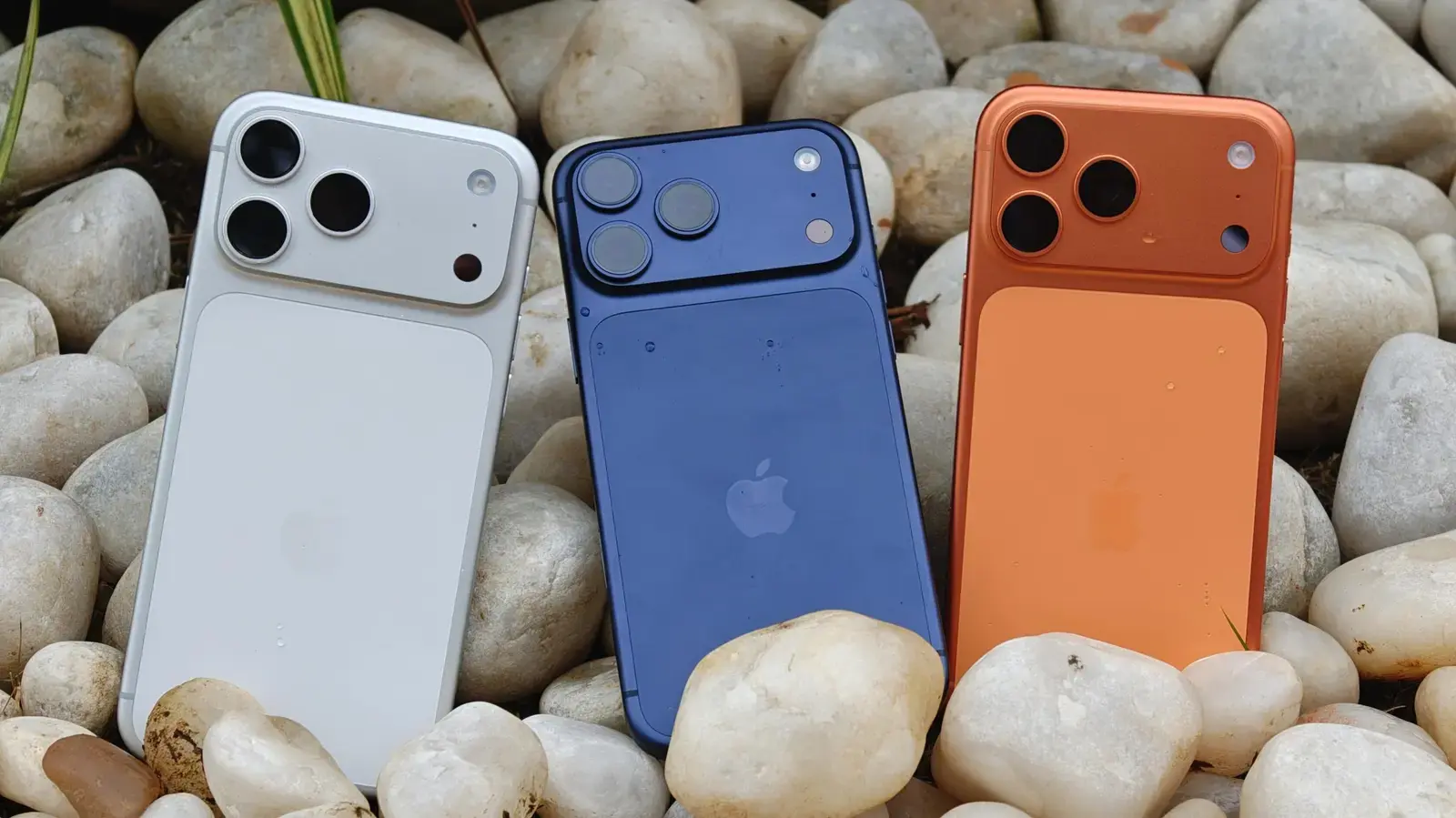 Choosing Where to Buy Your Next iPhone: A Practical Guide