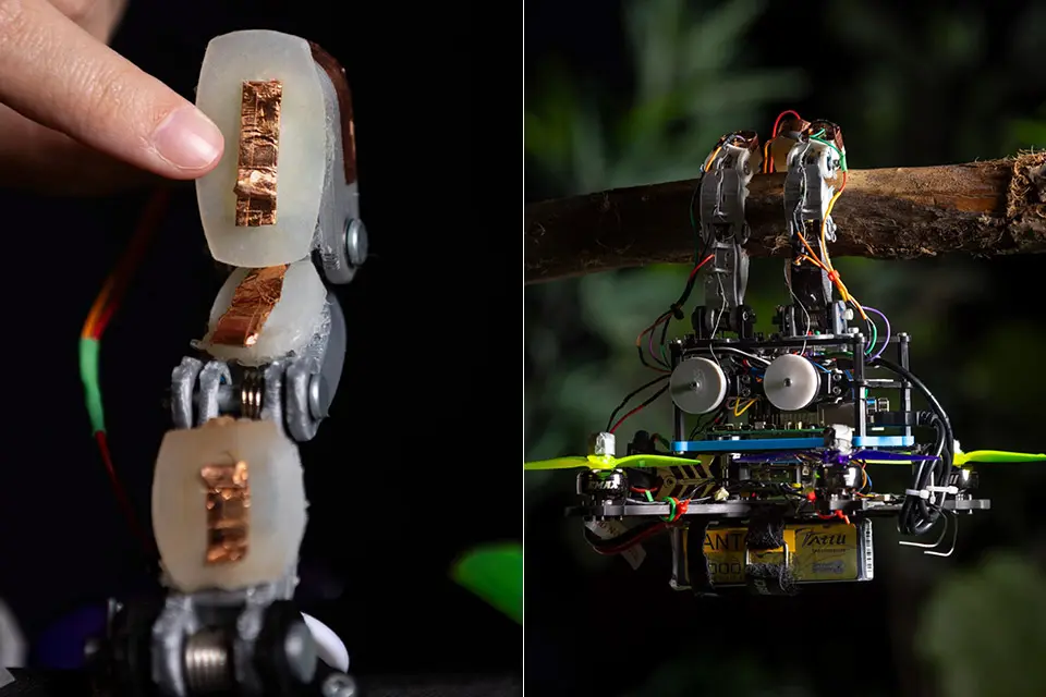 Engineers Develop Perching Drone to Revolutionize Forest Monitoring