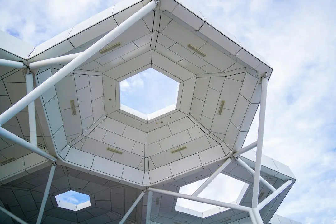 Project Meridian: Pentagon Names Musk, Luckey, Gingrich for 120‑Day Capability Study