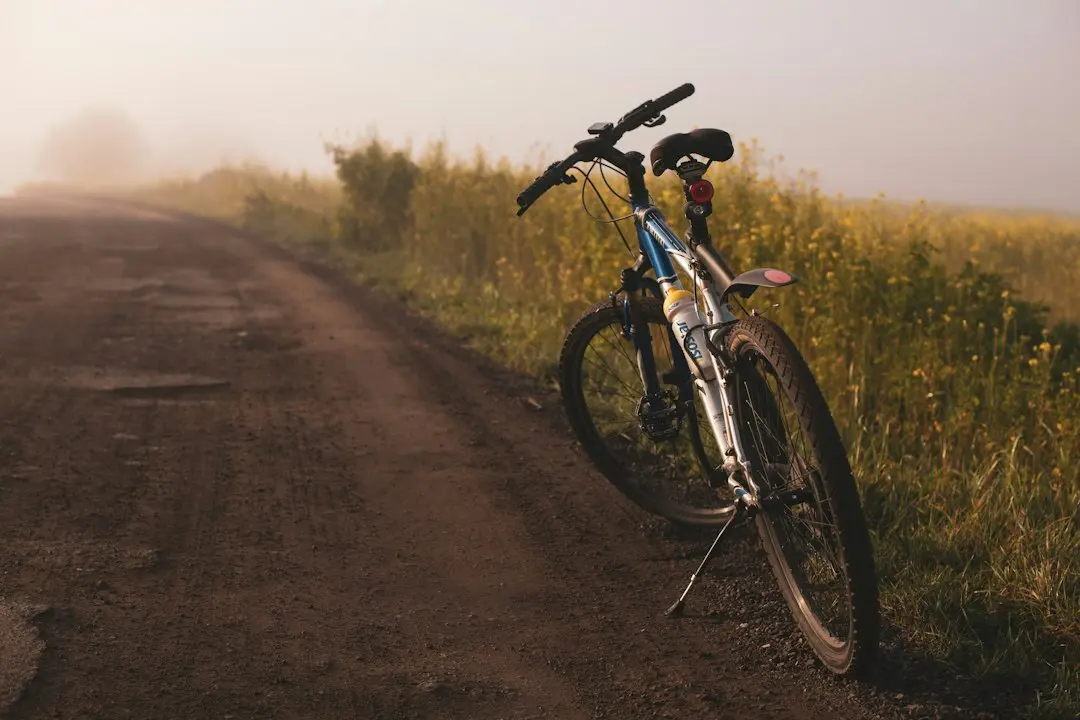 Rechargeable Bike Lights Lose Power After Decade of Storage