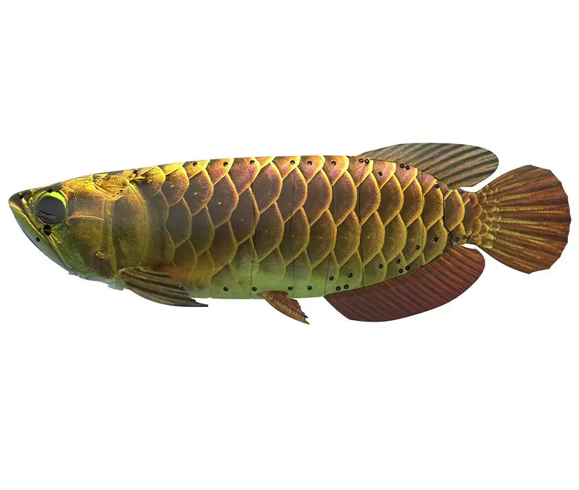 China's Autonomous Bionic Robot Fish Mimics Real Species for Stealth Surveillance