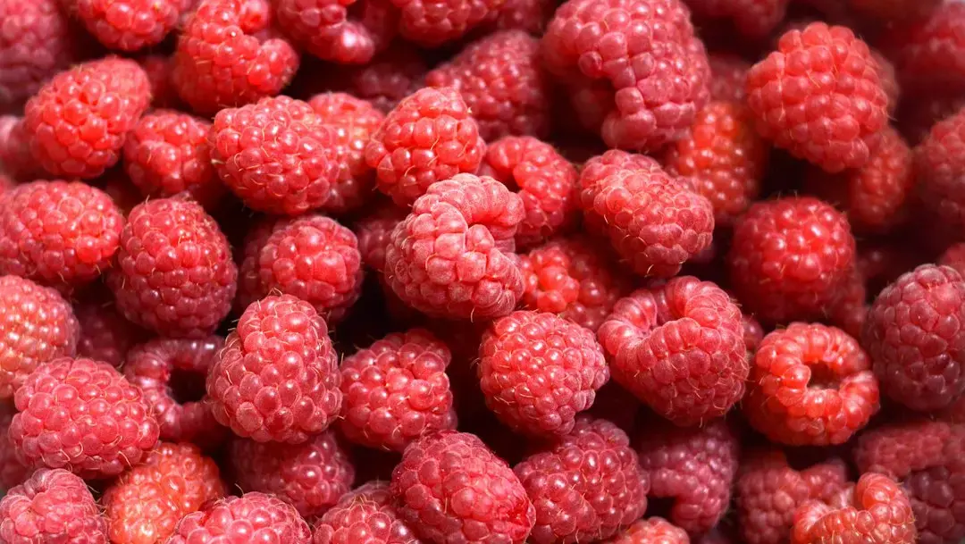 Turning a Raspberry Pi 5 into a Proxmox Virtualization Host
