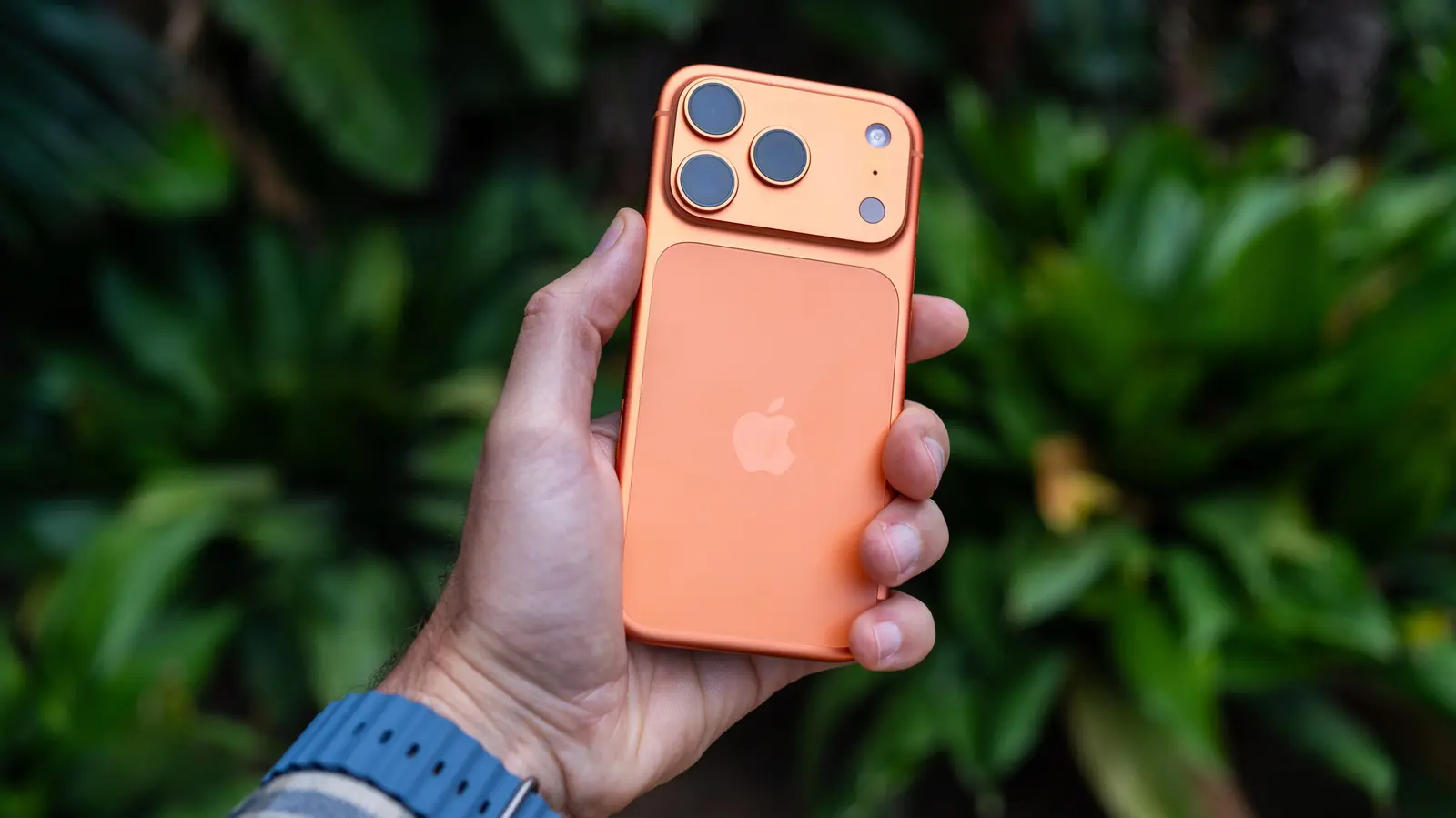 Unlocking iPhone Live Text for Everyday Tasks