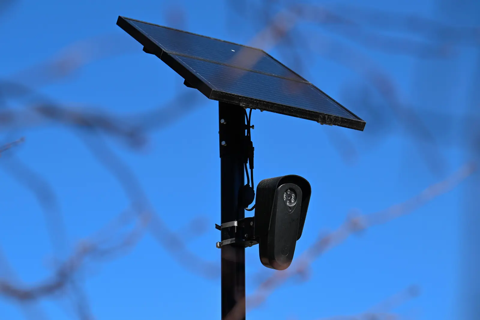 Elgin Community College Removes Six Safety Cameras Amid Privacy Concerns