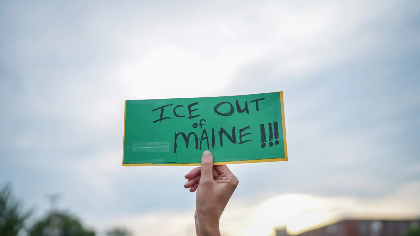 ICE Using Palantir Database to Track Protesters, Attorney Claims