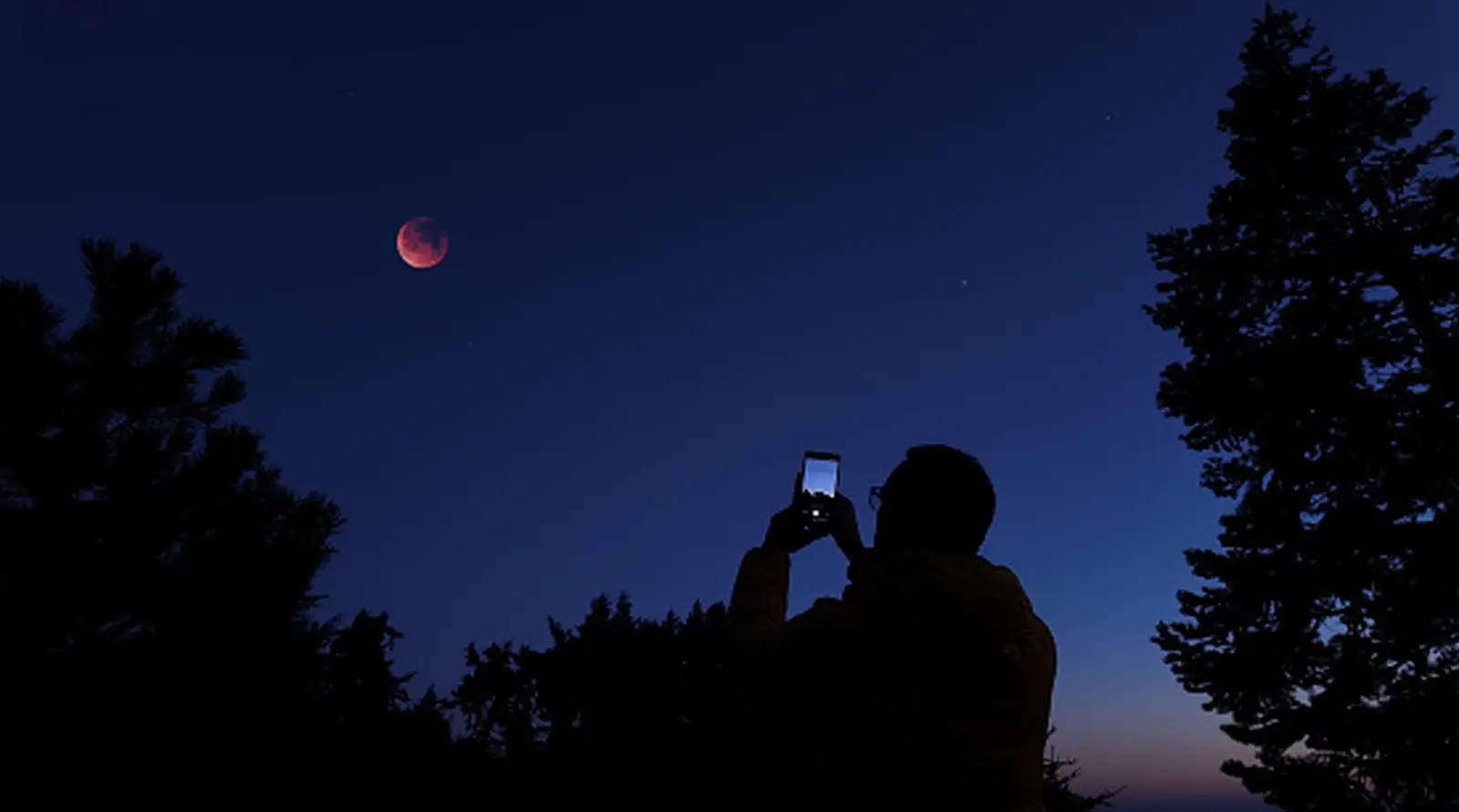 Why Your iPhone Photos Look Blurry and How to Fix Them